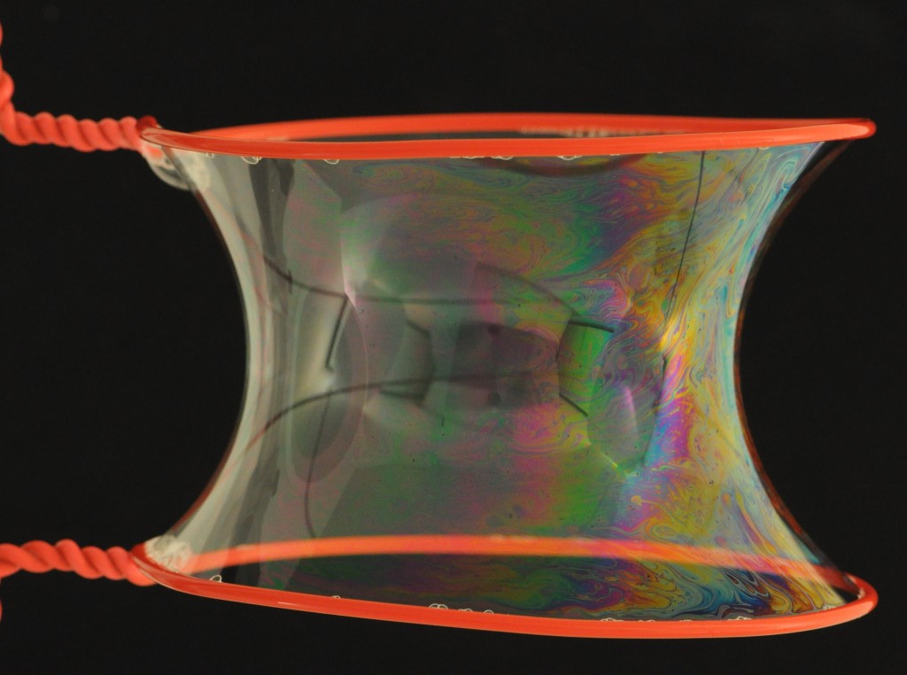 catenoid soap catenoid soap